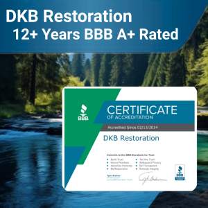 DKB Restoration (3) DKB Restoration (3)